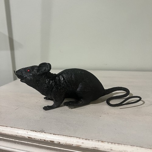 Black plastic rat mouse red - plastic,