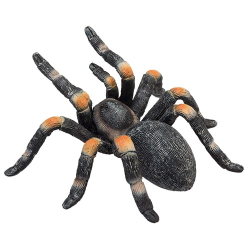 Mojo tarantula - -,