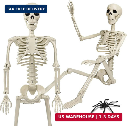Skeleton halloween - 36",