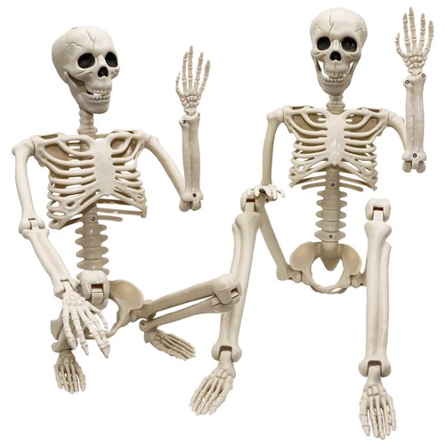 Pack halloween skeleton - 2,